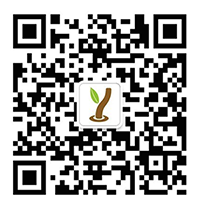 二(er)維(wei)碼(ma)圖片